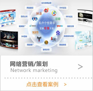 网络营销/策划