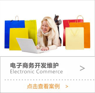 电子商务开发