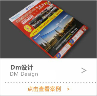 DM设计